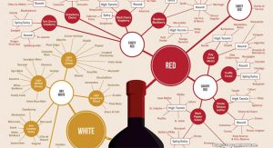 An Introduction to Classifications of Wine