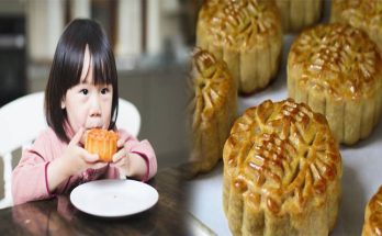 Enjoying Mooncakes without the Guilt: Healthy Alternatives with Fewer Calories